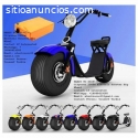 Citycoco electric scooter Big wheel
