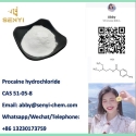 Procaine HCL CAS 51-05-8