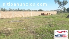 HERMOSO LOTE EN VENTA EN MONTERO