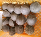 Prensa Meelko hacer carbón 10 y 15