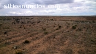 venta de 200 lotes en achica arriba