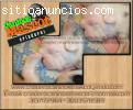bulldog ingles cachorros hermosos