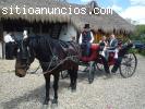 Hermosa Villa en Subachoque