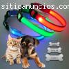 collares led para mascotas