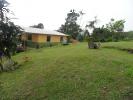 FINCA EN MESITAS DE COLEGIO  RENTABLE