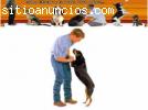 ENTRENAMIENTO DE PERROS ADIESTRAMIENTO