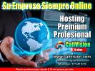 Hosting Premium 100%