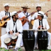 Música para bodas y eventos en cartagena