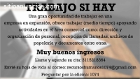 actividades en el área comercial