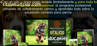 Adiestramiento canino. educanino