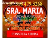 AMARRO SOMETO DOMINO  3184793268