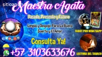 BRUJA EN CUNDINAMARCA, AMARRES-TAROT