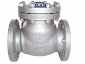 CHECK VALVES IN KOLKATA