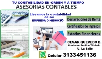 Contador Publico Asesorías Contables