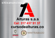 cursos de alturas resolución 1178