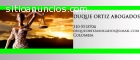 D&O DERECHO CIVIL, PENAL, LABORAL, FAMIL