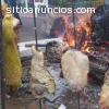 EVENTOS ASADOS LLANEROS BOGOTA