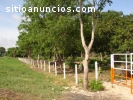 Finca en Venta, Aguachica Cesar Ruta del