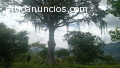 Finca En Venta Vereda Gaque Municipio Su