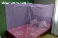 GRAN PROMOCION DE TOLDILLOS