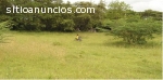 lote en ricaurte cundinamarca para la ve
