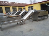 maquina clasificadora de frutas