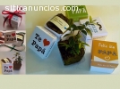 Mini bonsái en cajita de regalo germinar