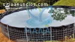 Piscinas artificiales para tilapia