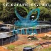 Piscinas orgánicas para truchas y mojar