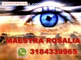 PODEROSA VIDENTE ROSALIA 3184339965