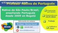 Profesor de portugués