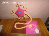 PROYECTOS - MAQUETAS Y TAREAS