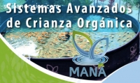 Proyectos productivos para fincas