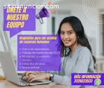 Se busca personal para trabajar