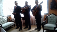 SERENATAS BOGOTA, TRIO FASCINACION