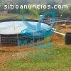 Sistemas orgánicos de piscinas con truch