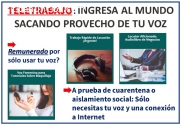 Teletrabajo Sacando Provecho De Tu Voz