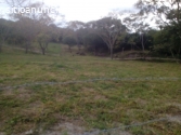 TIERRA EN VENTA EN EL TOLIMA 4496 m2