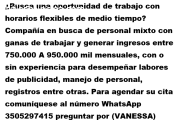 trabajo remoto