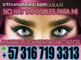 UNION DE AMOR MAESTRA SARAH DOMINIOS