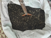 VENTA DE TIERRA ABONADA Y CASCARILLA BOG