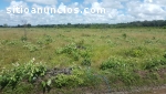 Venta terreno en Barranca de Upia