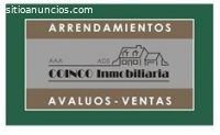 EXPERTOS EN ARRIENDOS, ADS - COINCO INMO
