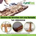 FUMIFAST fumigacion de termitas GYE