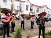 Mariachi Internacional Águilas de México