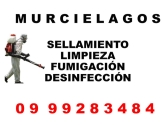 MURCIELAGOS (PLAGAS) 0999283484