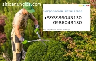 Servicios de Jardinería y césped Ecuador