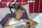 Adorable bebé monos  capuchinos