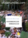 Empresa reciclaje ambiental en Ecuador