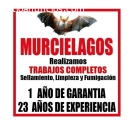 DESINFECCION DE TUMBADOS